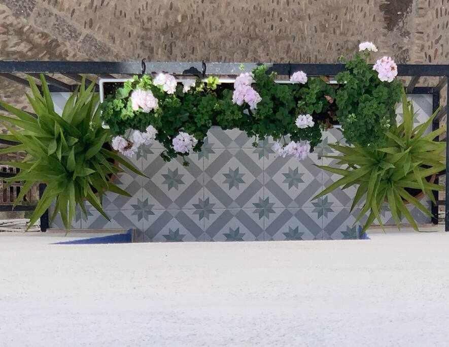 Casa Terrae Casco Antiguo Wifiaa Daire Peñíscola Dış mekan fotoğraf